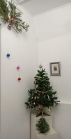 Бабусин спадок для лісової красуні: історія ялинкових прикрас на виставці раритетних іграшок та Різдвяних листівок у Музеї історії Козятина